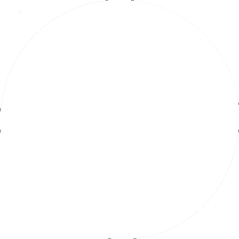 Phone Icon